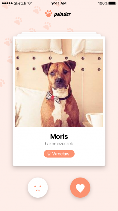 Tinder for dogs? Meet Psinder - a mobile app for pet adoption! - Tooploox